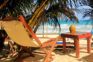 Cancun Airport to Tulum Hotel Dos Ceibas Eco Retreat